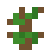 Maple Sapling.png